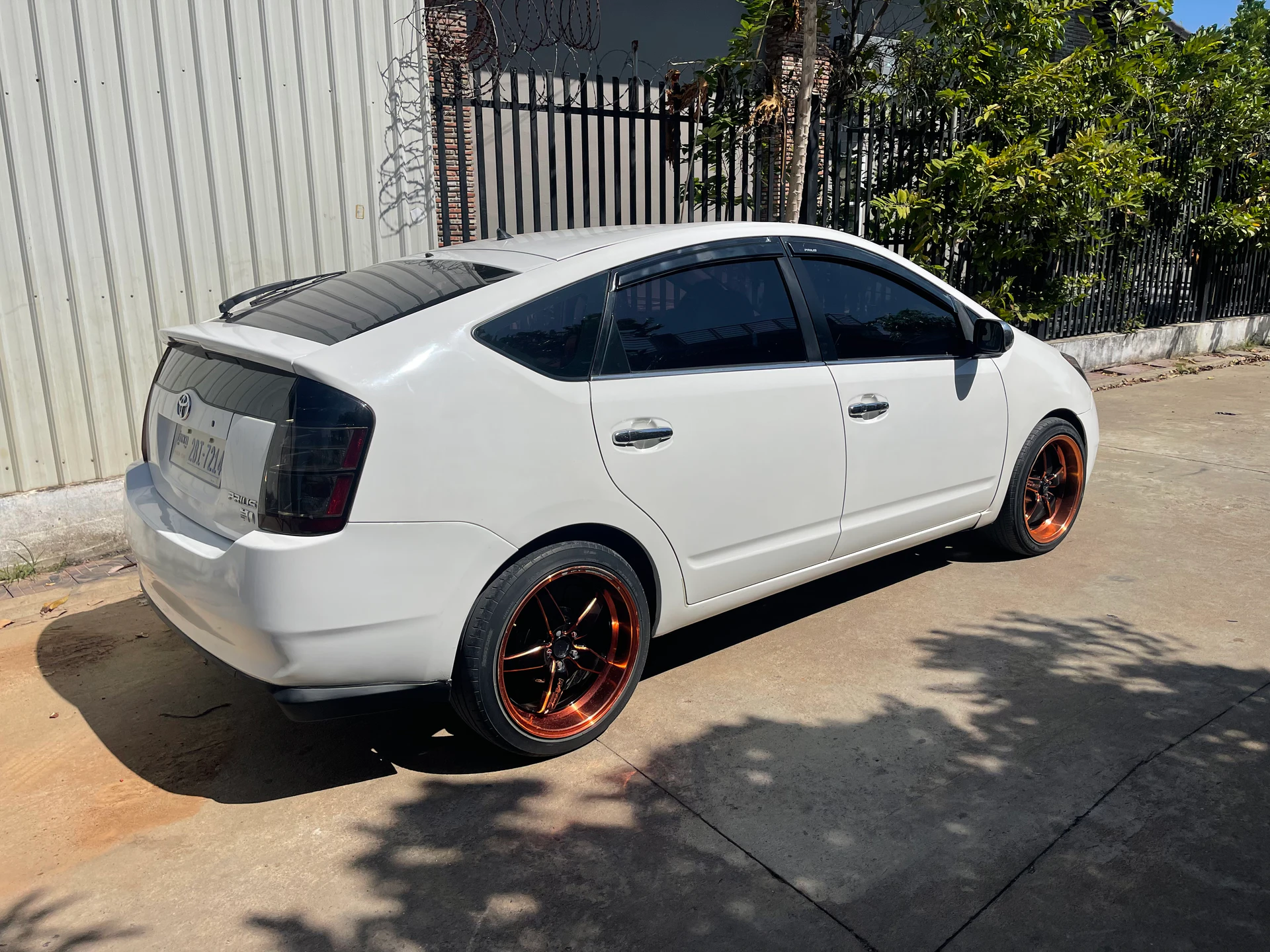 Pruis 05 HF - Image 2